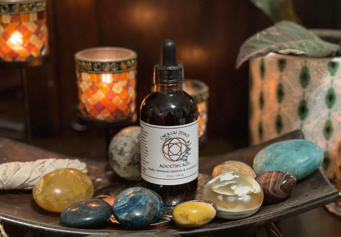 Body-Immune Cleanse & Restore Kit (add each part separately)