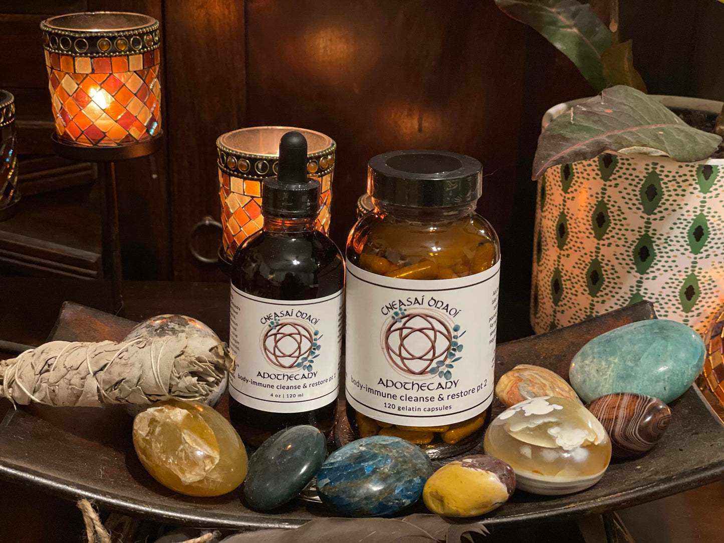 Body-Immune Cleanse & Restore Kit (add each part separately)